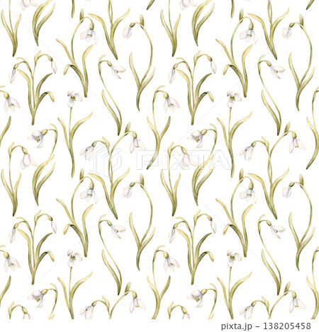Snowdrops Seamless Pattern Spring Bulb Flowers. Watercolor hand drawn floral illustration isolated on white background for Easter design mystery textile fresh fabric whimsical print cosmetic package Snowdrops Seamless Pattern Spring Bulb Flowers. Watercolor hand drawn floral illustration isolated on white background for Easter design mystery textile fresh fabric whimsical print cosmetic package 138205458