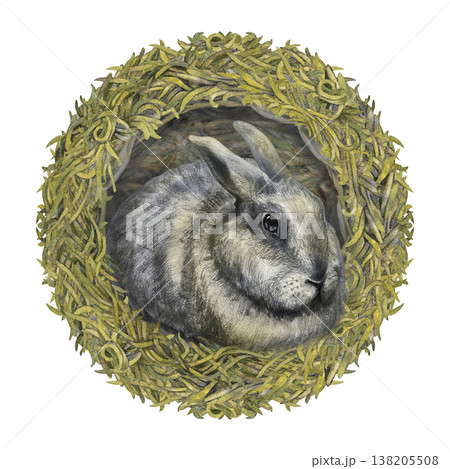 Watercolor rabbit composition with natural botanical hay nest on white background. Soft neutral tones, rustic style for Easter design, farm branding, hay labels, stationary, organic lifestyle projects 138205508