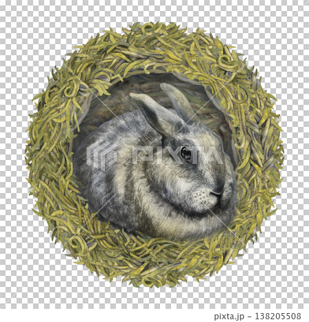 Watercolor rabbit composition with natural botanical hay nest on white background. Soft neutral tones, rustic style for Easter design, farm branding, hay labels, stationary, organic lifestyle projects 138205508