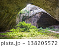 Inner Cavern of Devetashka Cave with Lush Green Growth 138205572