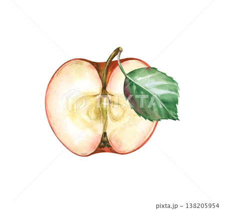 Half of a ripe red apple with a green leaf on an isolated background. Juicy fruit in watercolor. Realistic botanical clipart for menus, jams, baby food and harvesting. 138205954