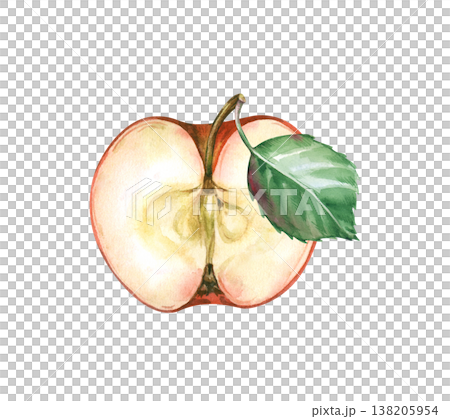 Half of a ripe red apple with a green leaf on an isolated background. Juicy fruit in watercolor. Realistic botanical clipart for menus, jams, baby food and harvesting. 138205954