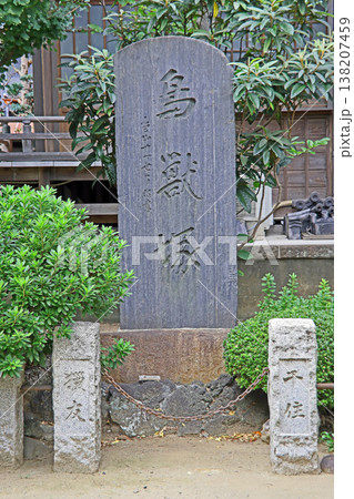 慈眼寺（足立） 138207459