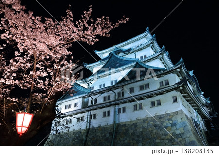 桜と名古屋城天守閣の夜景 桜と名古屋城天守閣の夜景 138208135