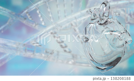 Transparent Human Heart With DNA Background 3d render. 138208188
