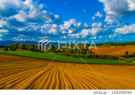 美瑛の絶景 美瑛の絶景 138208449