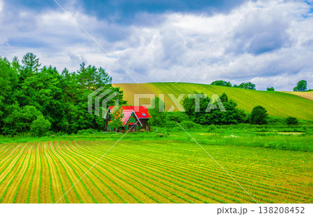 美瑛の絶景 美瑛の絶景 138208452