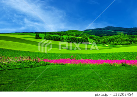 美瑛の絶景 138208454