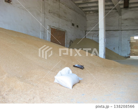 Heap of grains of barley and wheat in stock Heap of grains of barley and wheat in stock 138208566