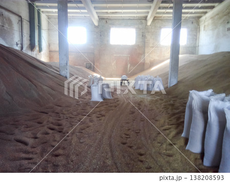 Heap of grains of barley and wheat in stock Heap of grains of barley and wheat in stock 138208593
