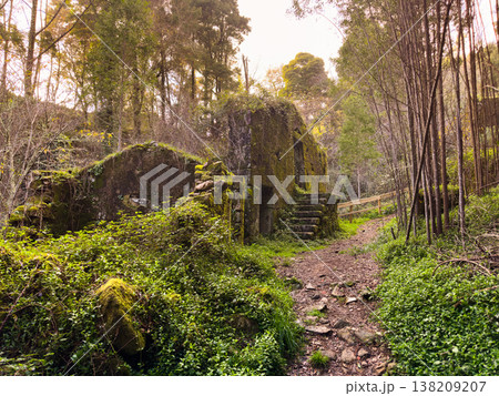 Forest Ruins at Outeiro Forest Ruins at Outeiro 138209207