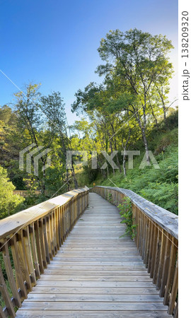Passadicos do Mondego Wooden Boardwalk Trail Through Forest in Portugal Passadicos do Mondego Wooden Boardwalk Trail Through Forest in Portugal 138209320
