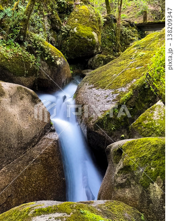 Long Exposure Small Waterfall Between Mossy Boulders in Levada dos Jugueiros Long Exposure Small Waterfall Between Mossy Boulders in Levada dos Jugueiros 138209347