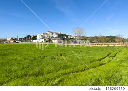 Scenic view of Parque Municipal do Antua with lush green fields and buildings under a clear blue sky Scenic view of Parque Municipal do Antua with lush green fields and buildings under a clear blue sky 138209380