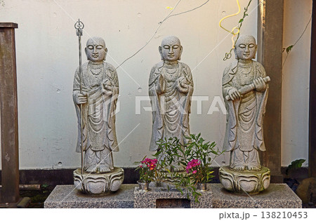 真蔵院(小金井) 真蔵院(小金井) 138210453