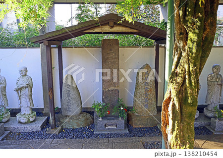 真蔵院（小金井） 138210454