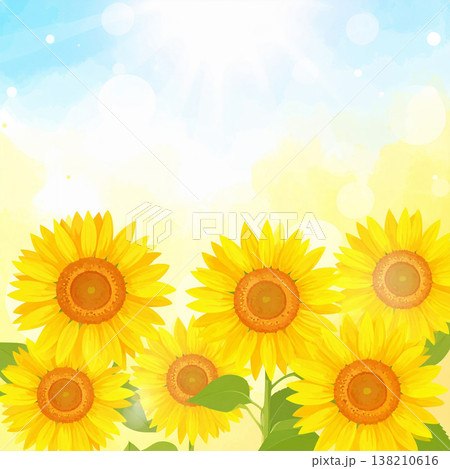 ひまわり 138210616