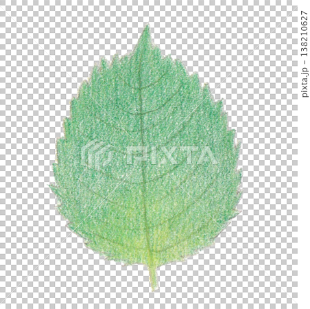 Shizuka's illustration 138210627