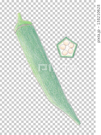 Okra's illustration 138210628