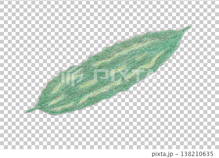 Illustration of bitter melon Illustration of bitter melon 138210635