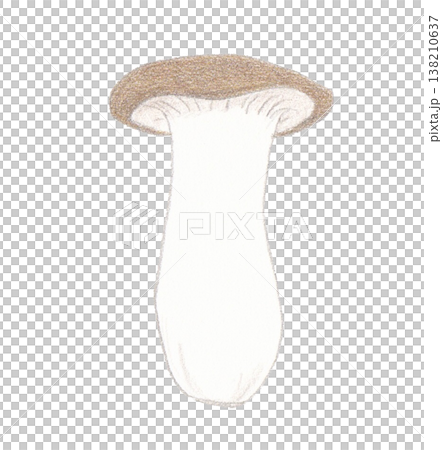 Elingi插圖 138210637