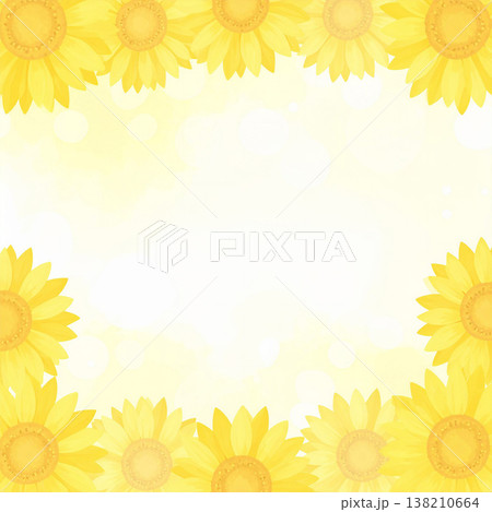 ひまわり 138210664