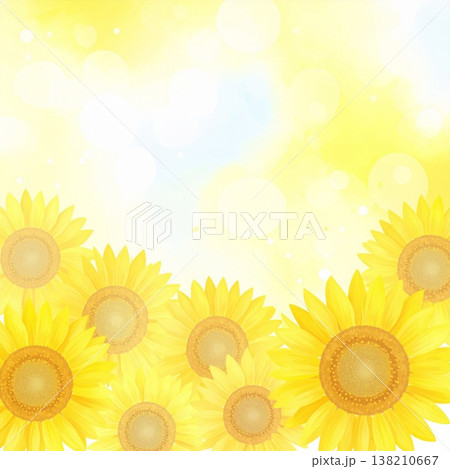 ひまわり 138210667