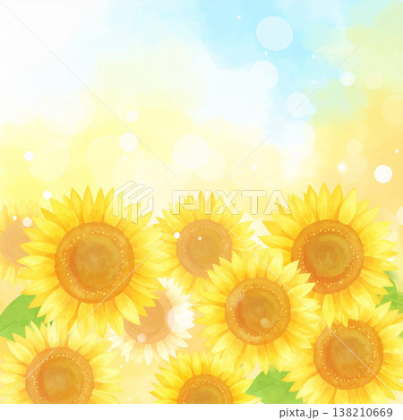 ひまわり ひまわり 138210669