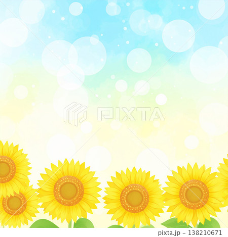 ひまわり ひまわり 138210671