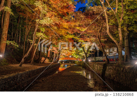 森町の遠江国一宮小國神社の紅葉の風景(静岡県) 138210868