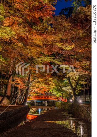 森町の遠江国一宮小國神社の紅葉の風景(静岡県) 138210870
