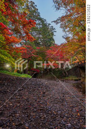 森町の遠江国一宮小國神社の紅葉の風景(静岡県) 森町の遠江国一宮小國神社の紅葉の風景(静岡県) 138211022