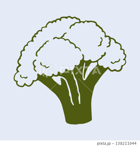 Minimalist vector illustration of a fresh broccoli floret. This clean hand drawn vegetable sketch is ideal for health conscious branding and educational nutrition materials Minimalist vector illustration of a fresh broccoli floret. This clean hand drawn vegetable sketch is ideal for health conscious branding and educational nutrition materials 138211044