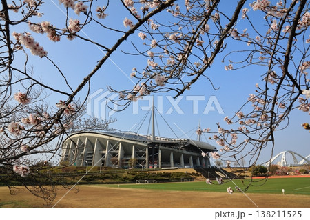 桜のある風景 138211525