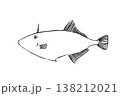 ウマヅラハギのイラスト 海水魚 ベクター 筆ペン線画 横向き 138212021