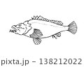 オニカサゴのイラスト 海水魚 毒魚 ベクター 筆ペン線画 138212022