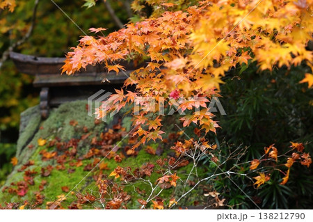 慧日寺の紅葉 138212790