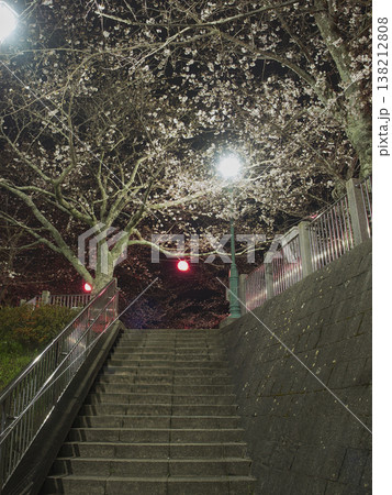 太田山公園の夜桜 太田山公園の夜桜 138212808
