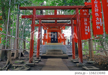 山王稲穂神社（小金井） 138213040