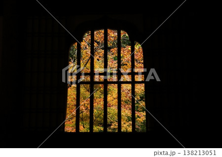 窓から覗いた慧日寺の紅葉 138213051