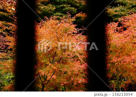 窓から覗いた慧日寺の紅葉 138213054