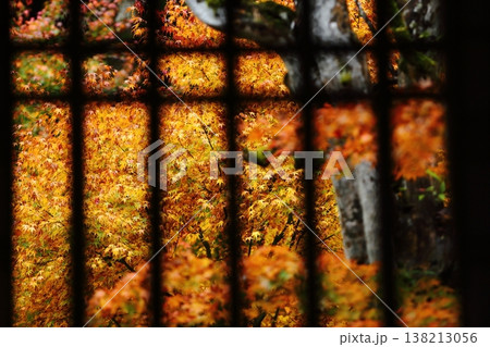 窓から覗いた慧日寺の紅葉 138213056