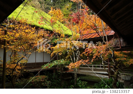 慧日寺の中庭の紅葉 慧日寺の中庭の紅葉 138213357