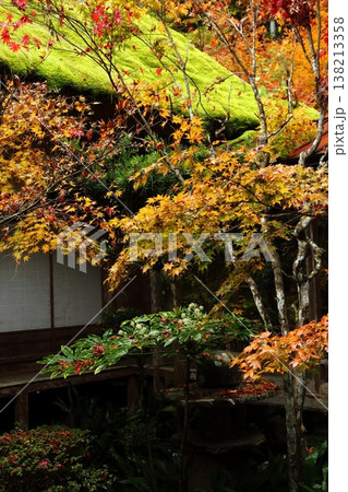 慧日寺の中庭の紅葉 138213358