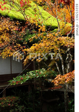 慧日寺の中庭の紅葉 慧日寺の中庭の紅葉 138213359