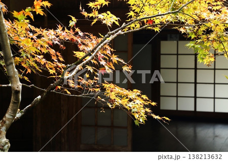 慧日寺の紅葉 138213632