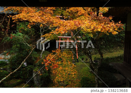 慧日寺の紅葉 慧日寺の紅葉 138213688