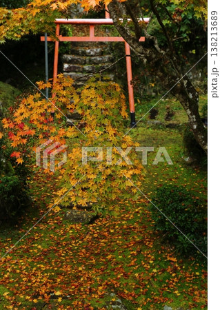 慧日寺の紅葉 138213689