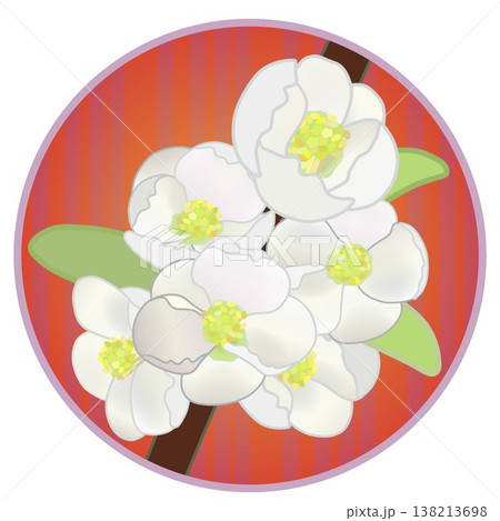 円形背景のついた白いボケの花イラスト 138213698