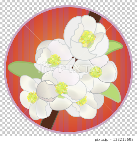 円形背景のついた白いボケの花イラスト 138213698